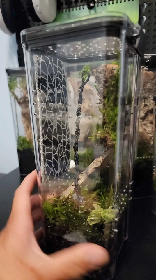 Enclosure - photo 4