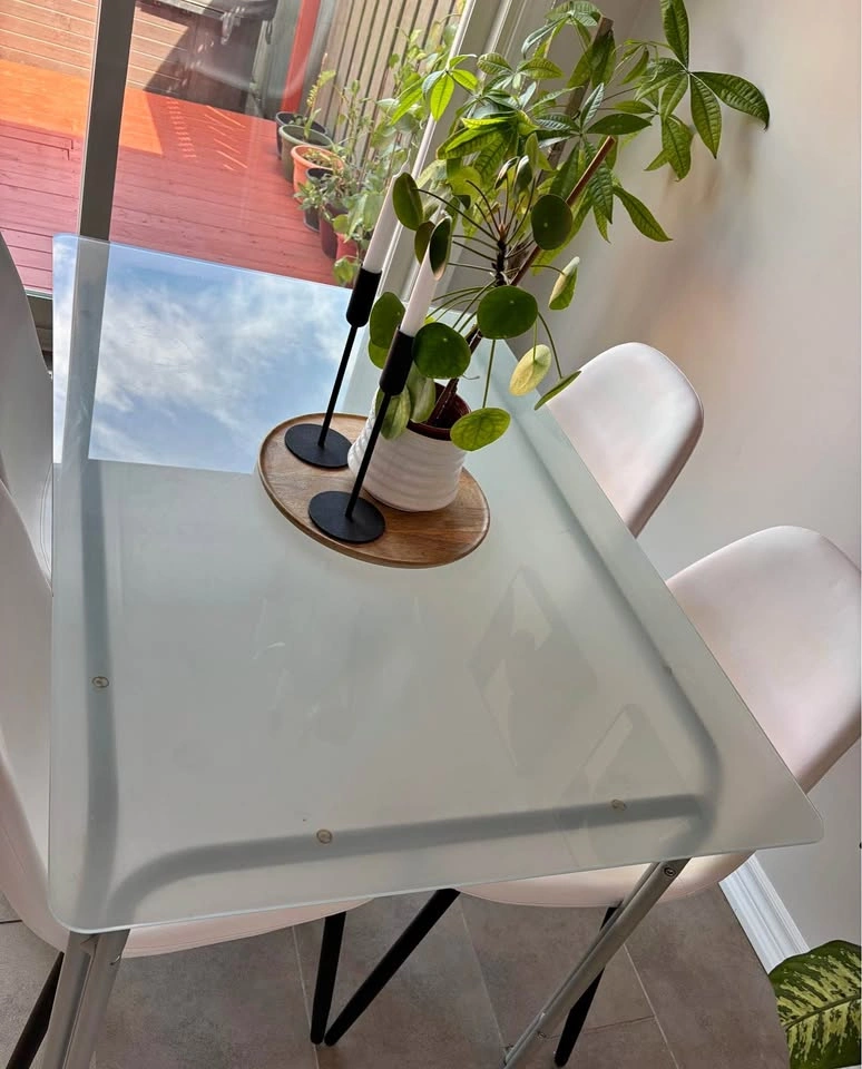 IKEA TORSBY Dining Table