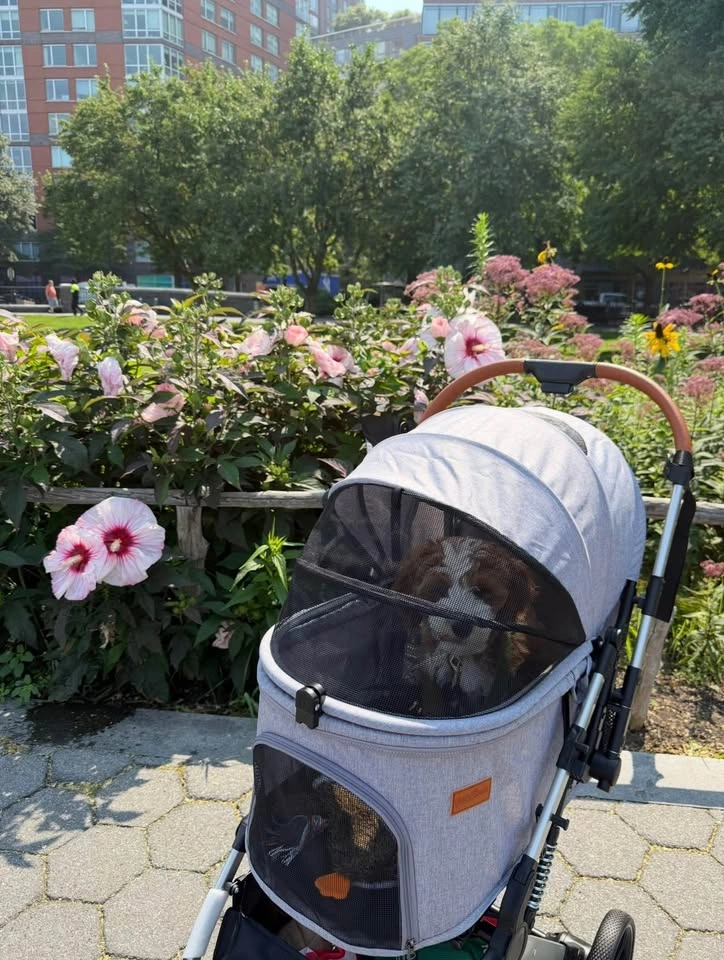 Bicystar Foldable Dog Stroller + Dog Sling Carrier - photo 2