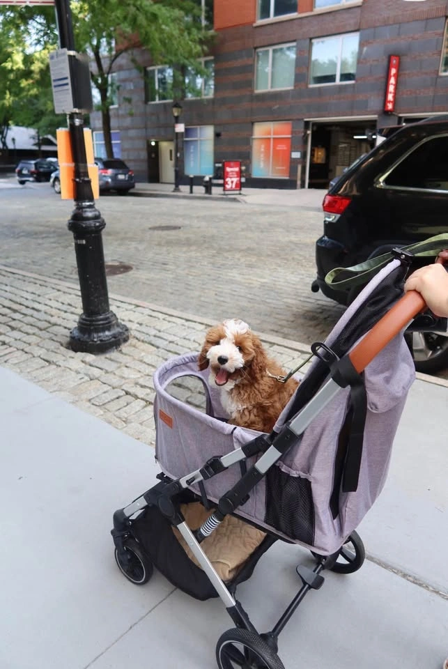 Bicystar Foldable Dog Stroller + Dog Sling Carrier - photo 3