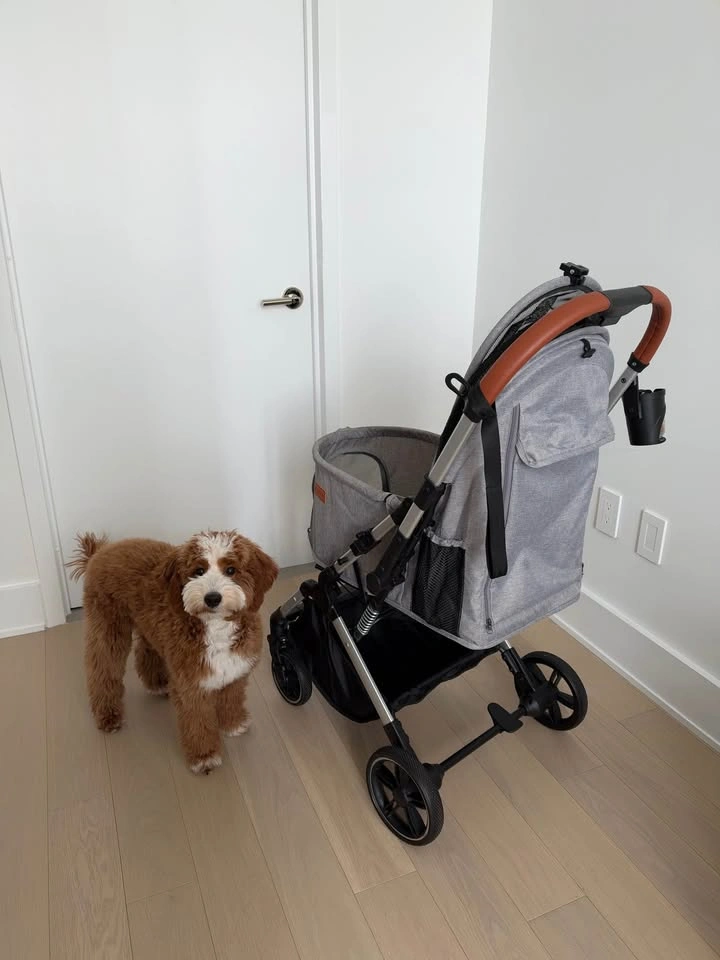 Bicystar Foldable Dog Stroller + Dog Sling Carrier - photo 4