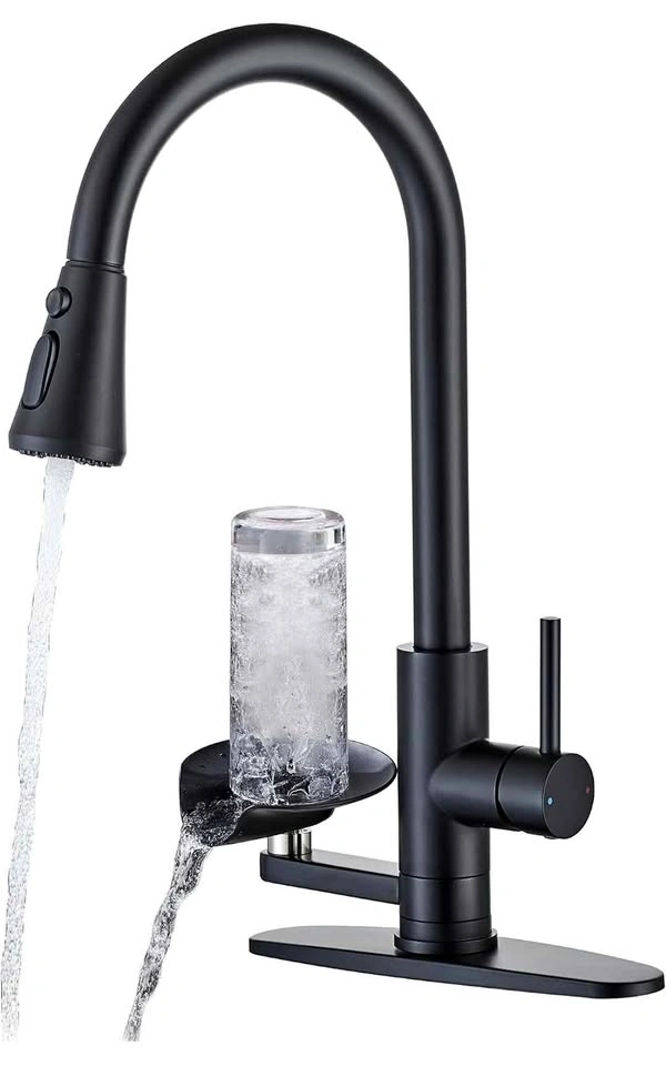 Hamoler Kitchen Faucet with Cup Washer Pull Down Matte Black