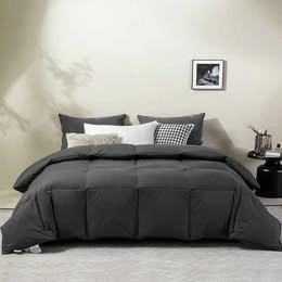 LESNNCIER Luxury Medium Warmth Feather Down Comforter Twin