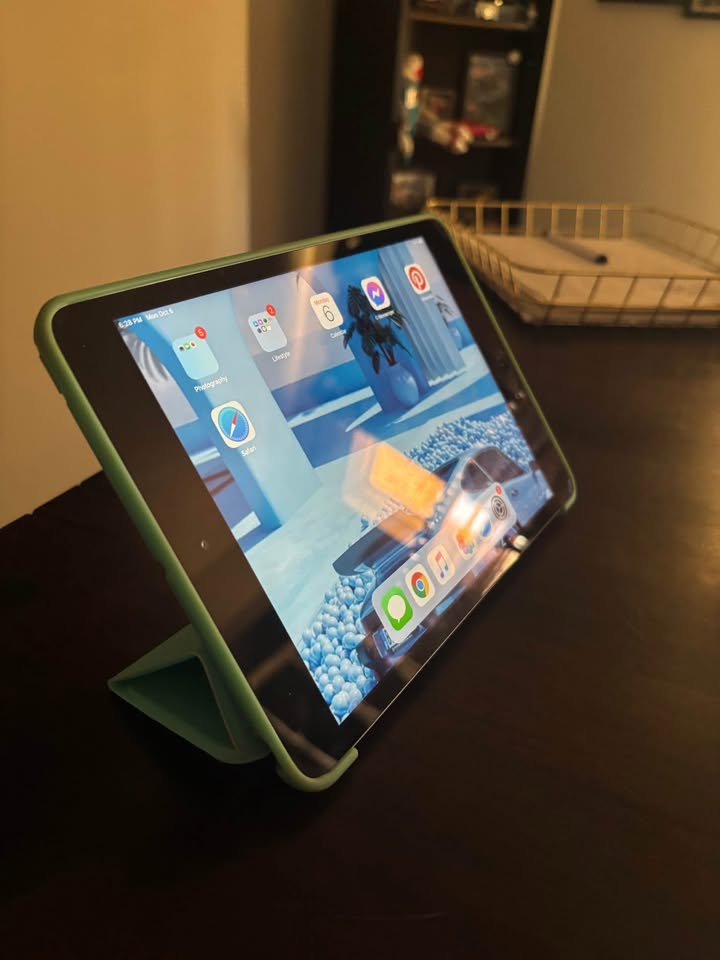 iPad mini 2 - photo 4