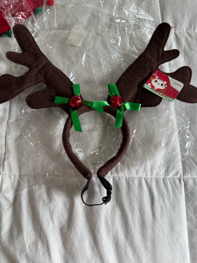 Holiday Small Dog Clothing Lot - for Medium sized Dog - photo 5