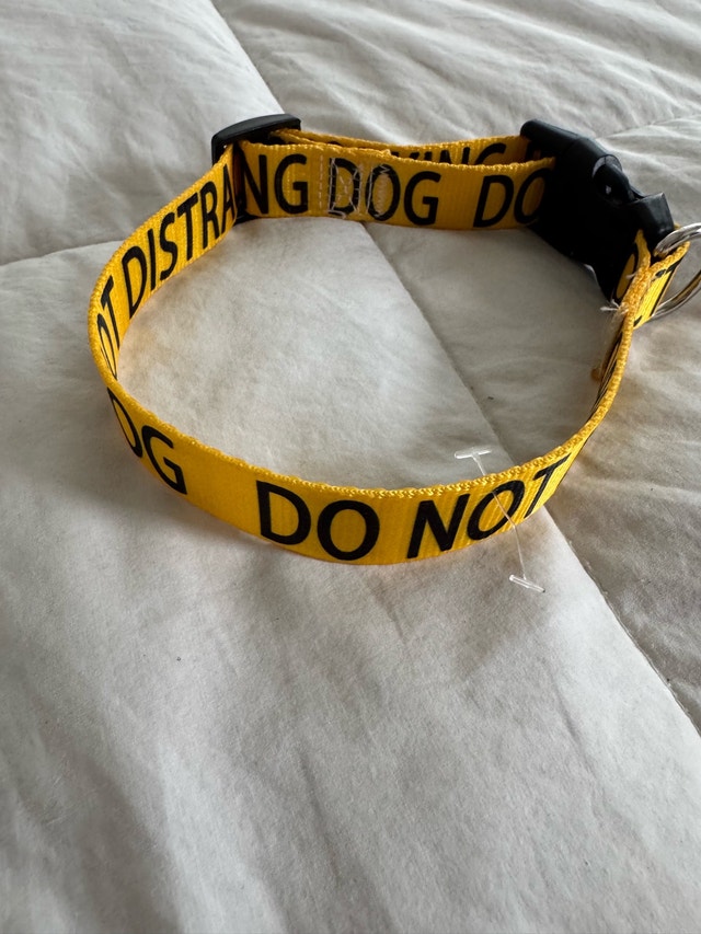 Brand New “Do Not Distract Working” Medium to Large Dog Collar