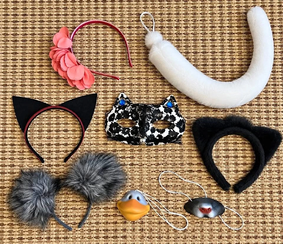 Halloween Costume Accessories Lot – Cat Ears, Tail, Masks & Head