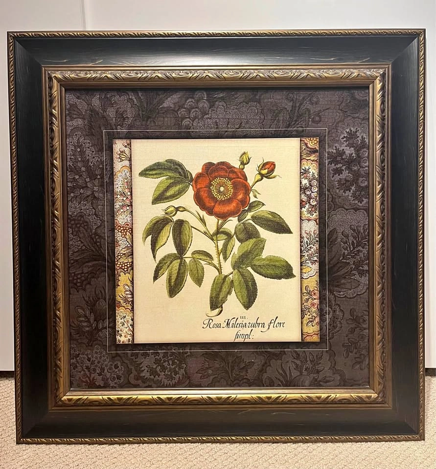 Large Vintage Botanical Rose Print – Ornate Black & Gold Frame