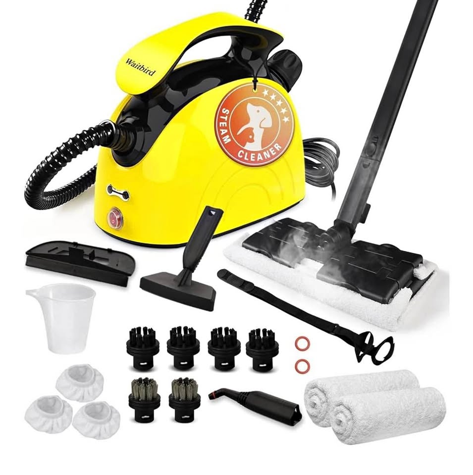 Waitbird Steam Cleaner — Powerful Handheld Steamer | NEW