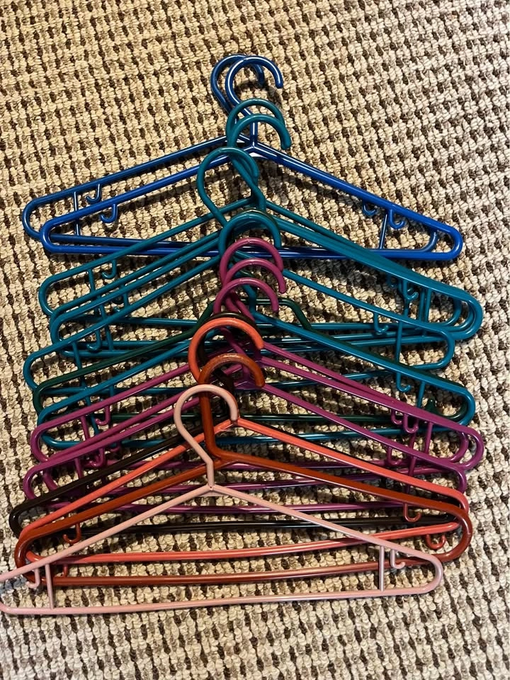 60 Plastic Clothes Hangers + Multi-Tier Pants Hanger – Closet Lo - photo 2