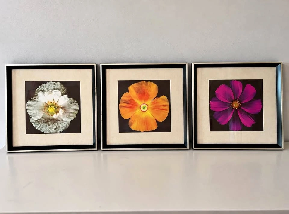 Set of 3 Framed Floral Prints – 32 cm Square Botanical Wall Art