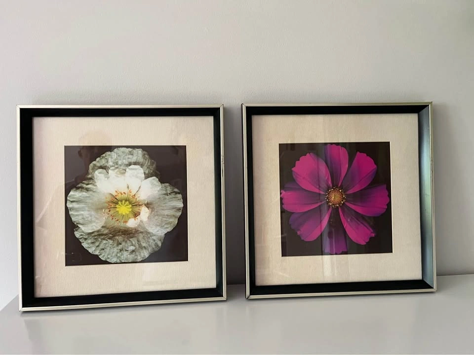 Set of 3 Framed Floral Prints – 32 cm Square Botanical Wall Art - photo 2