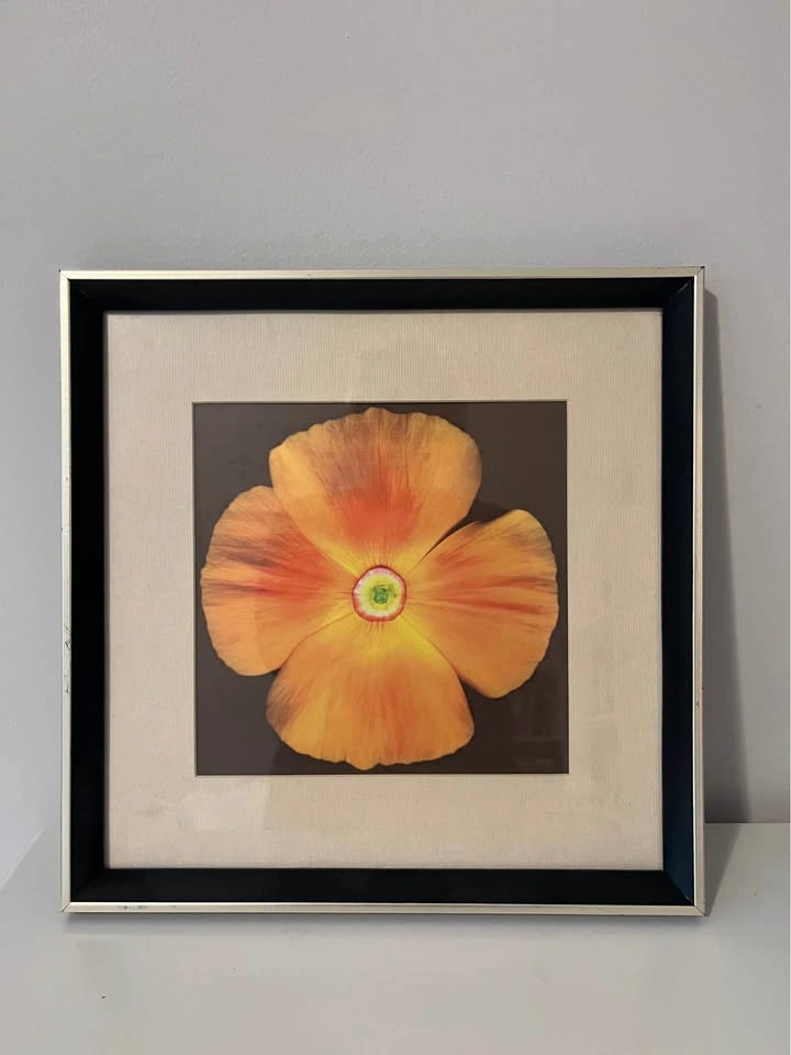 Set of 3 Framed Floral Prints – 32 cm Square Botanical Wall Art - photo 3
