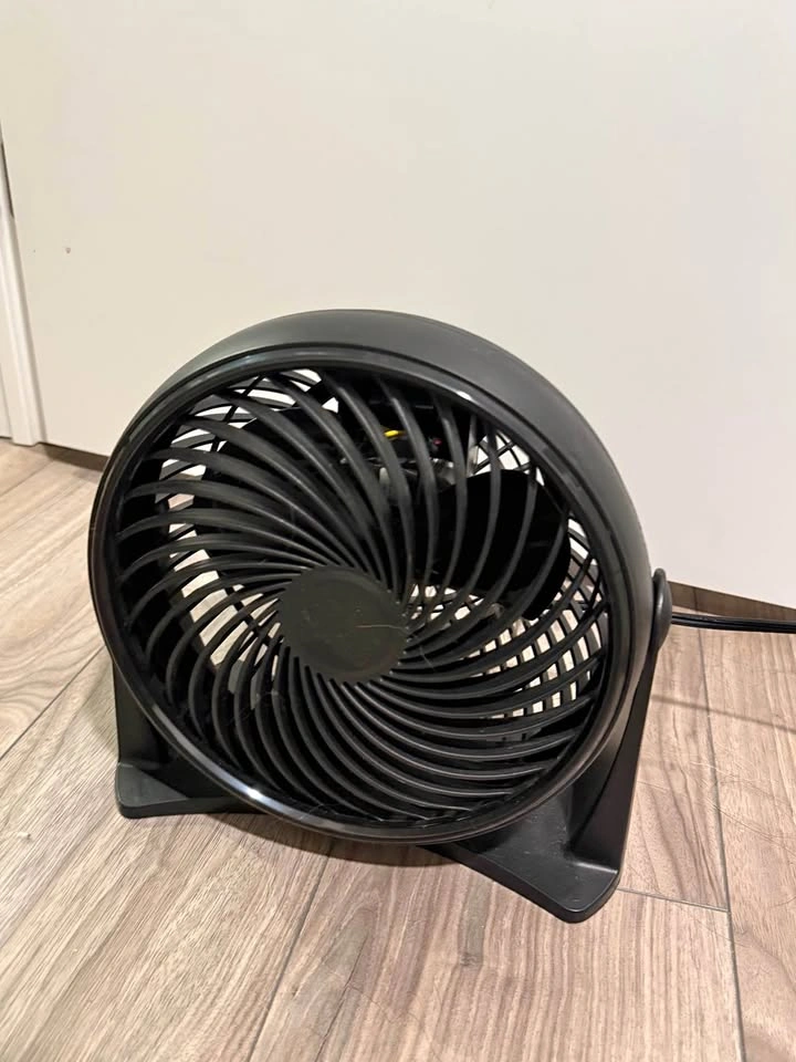 Fan