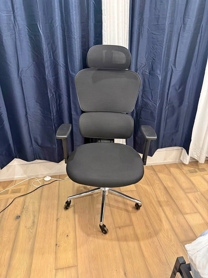 Ergonomic Mesh Office Chair