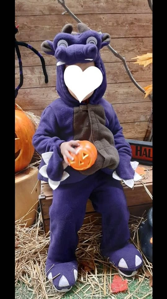 Halloween costume, purple dragon, toddler size 24 months
