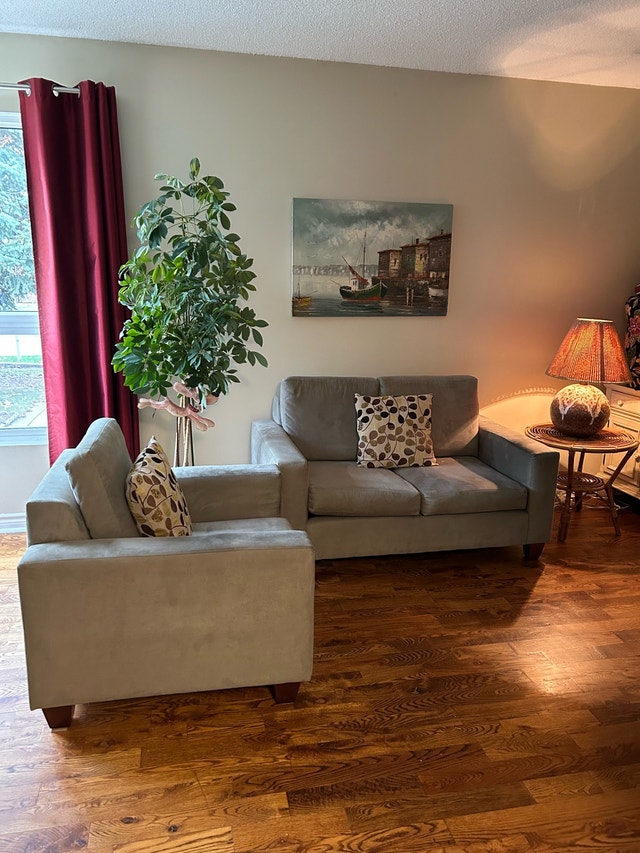 Loveseat Couch Set