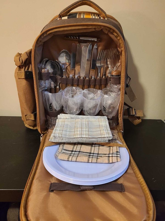 Apollo Walker Picnic Backpack for 4