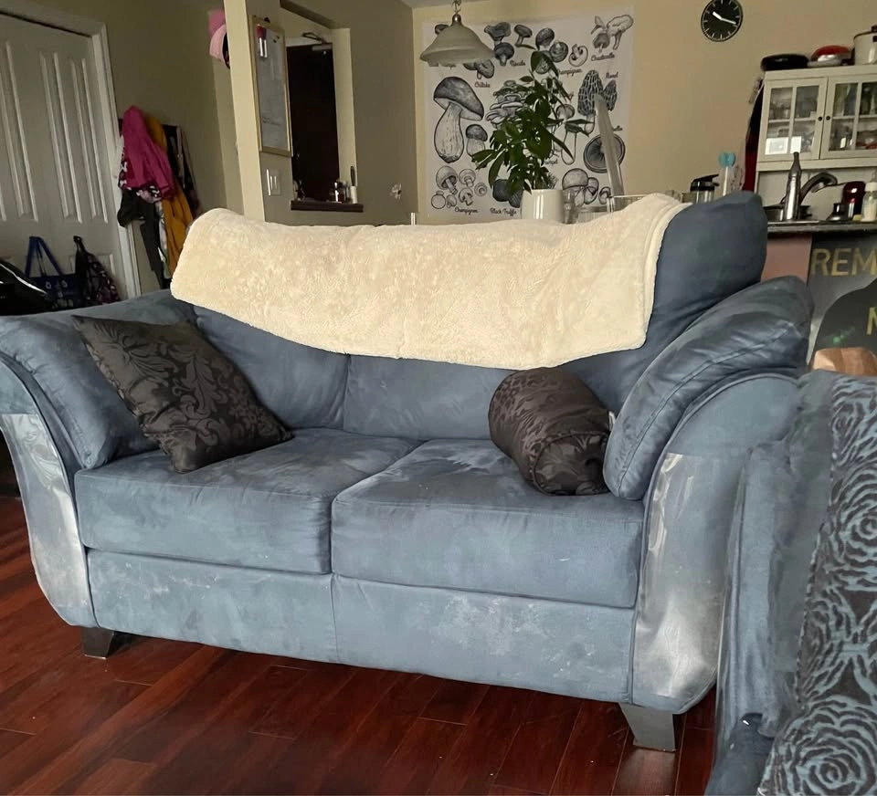 Ashley Furniture Darcy Sofa and Loveseat Set - photo 2