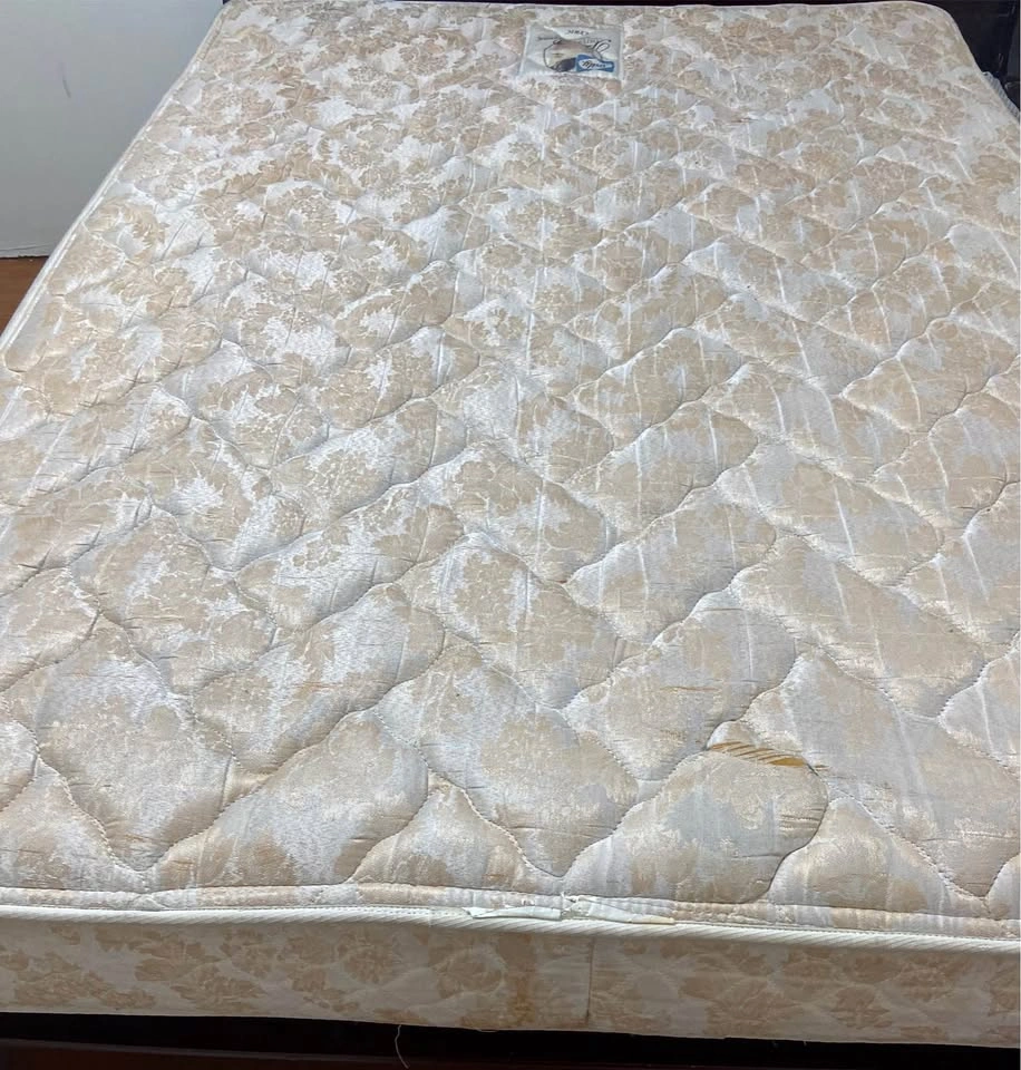Sealy Queen Mattress