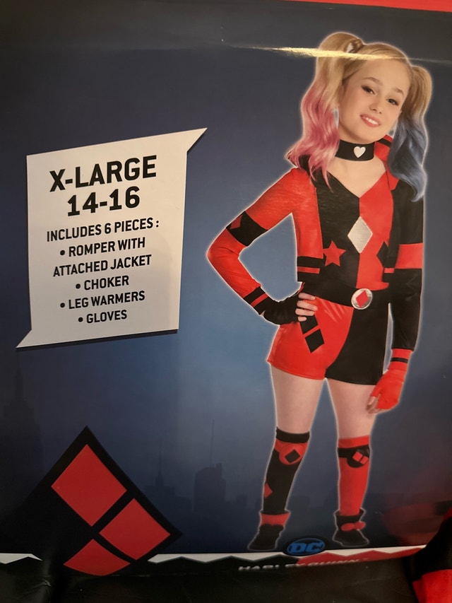 DC Comics Harley Quinn Costume