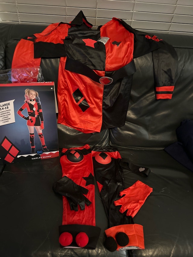 DC Comics Harley Quinn Costume - photo 2