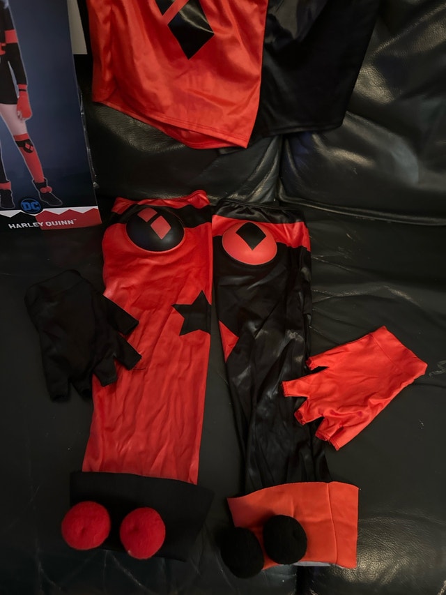 DC Comics Harley Quinn Costume - photo 3