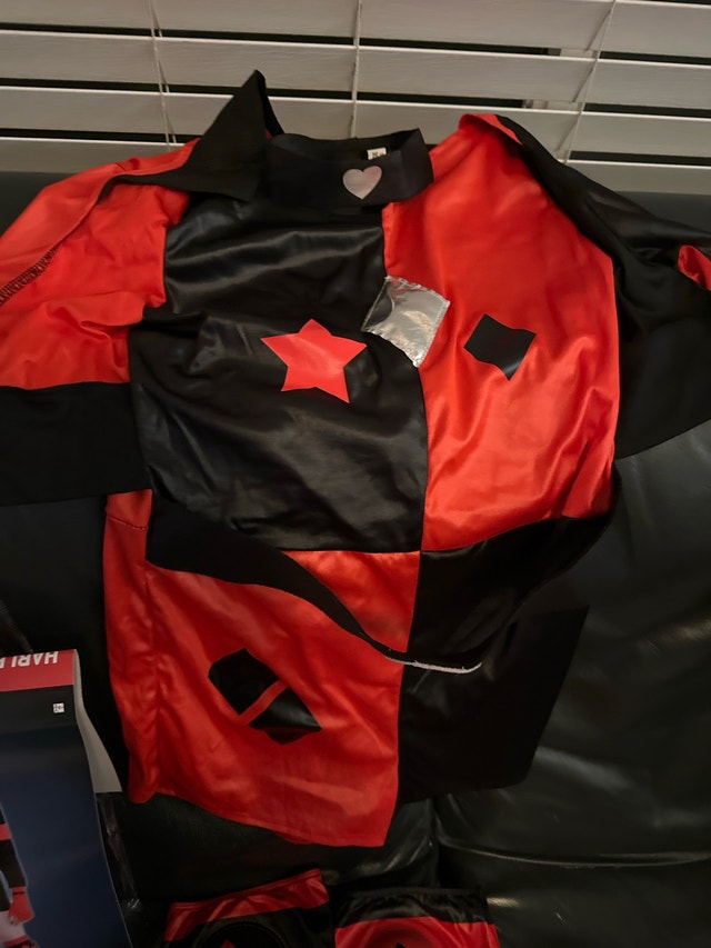 DC Comics Harley Quinn Costume - photo 4