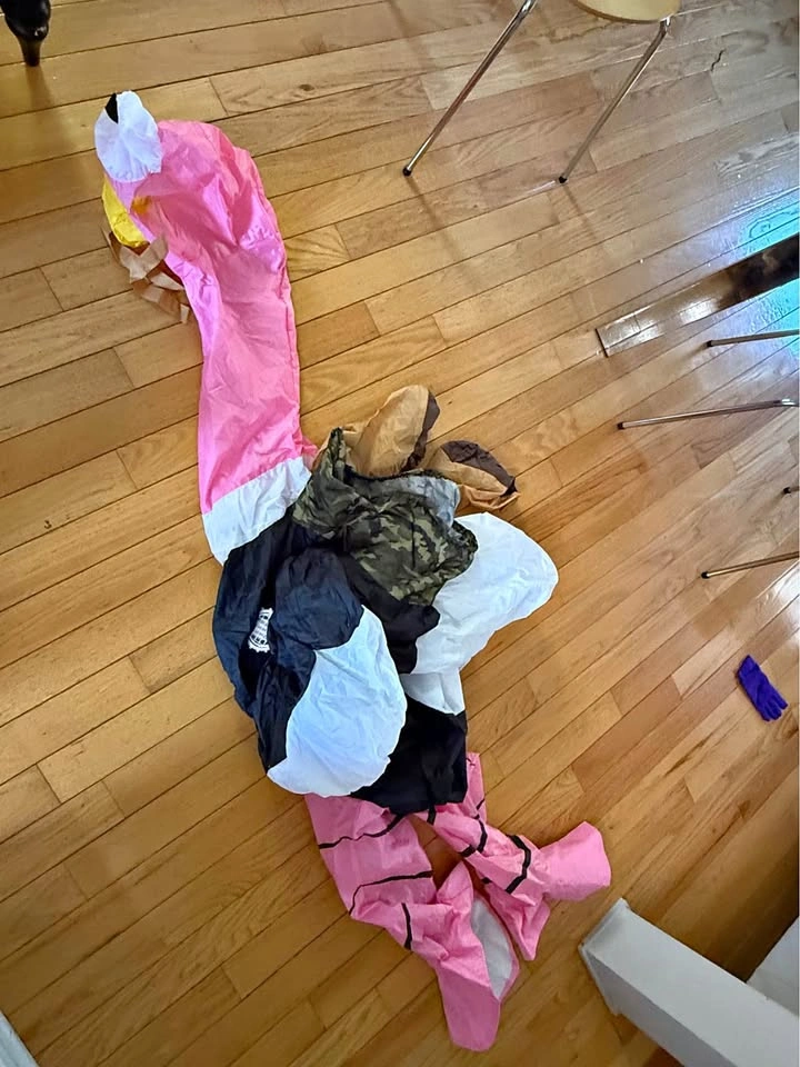Inflatable pink Ostrich Adult costume