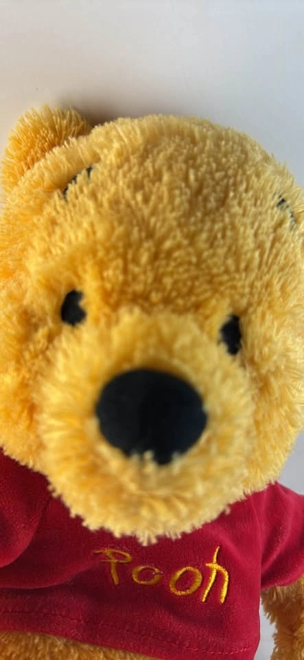 Disney Lion King Broadway Musical Baby Simba Jointed Plush Toy - photo 5