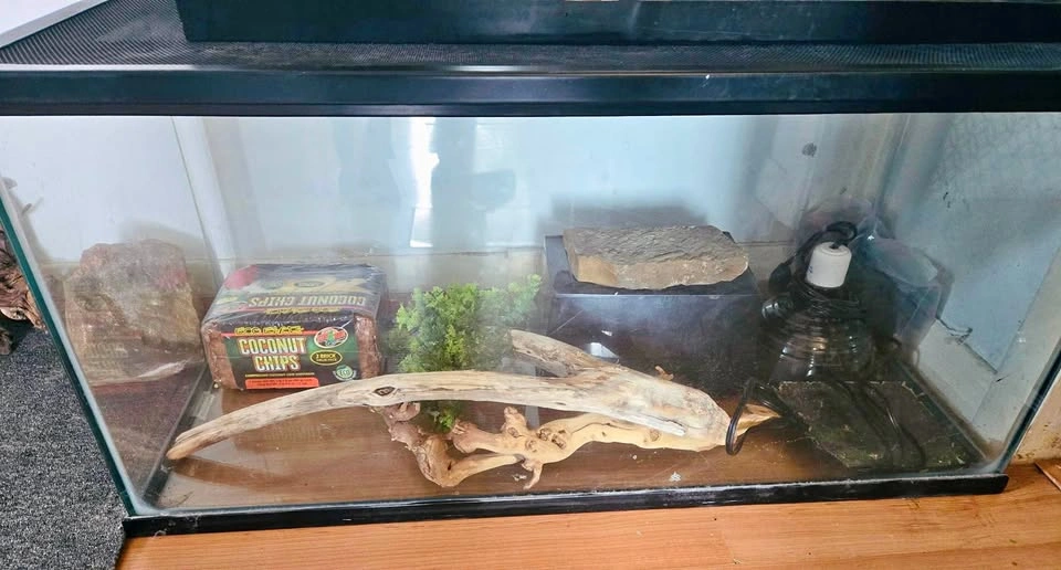 Terrarium with reptile accessories