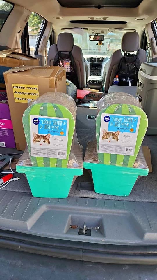 2 CAT CACTUS SCRATCHER