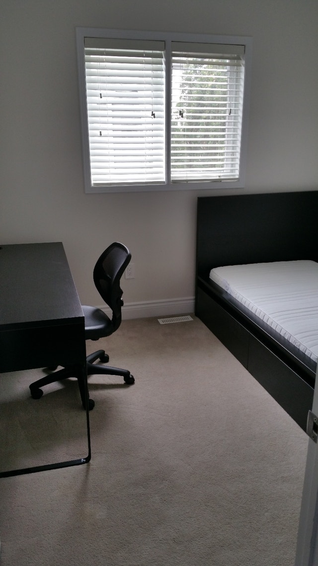 Trafalgar/Glenashton - Room near Sheridan and Walmart - photo 2