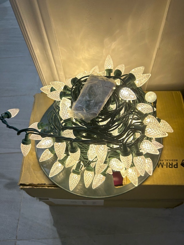C9 LED Christmas Lights - photo 2