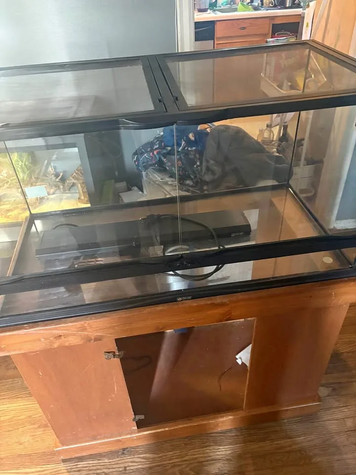 Lizard tank thumbnail