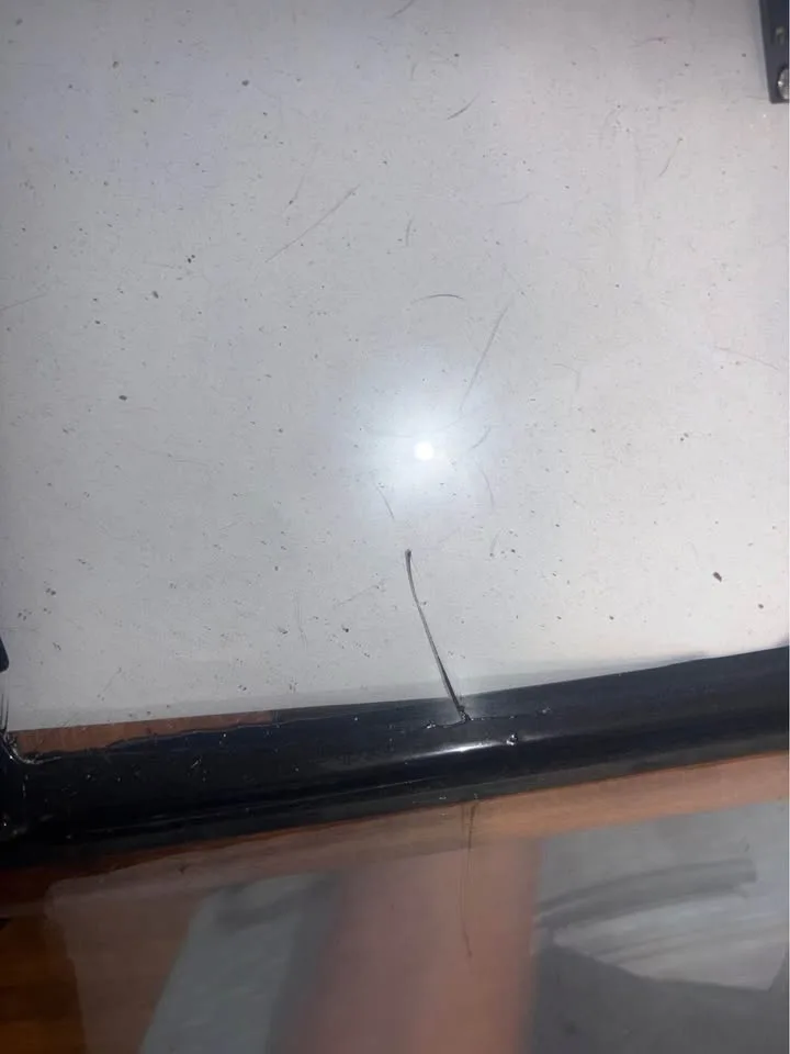 Lizard tank image indicator(4)