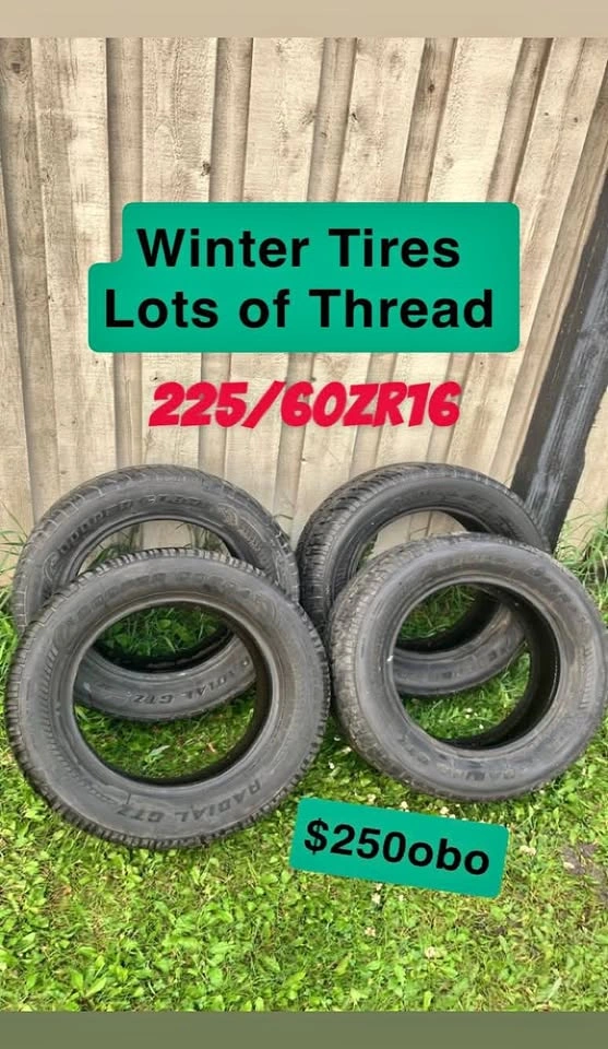 Winter Tires 225/60ZR16 $250obo
