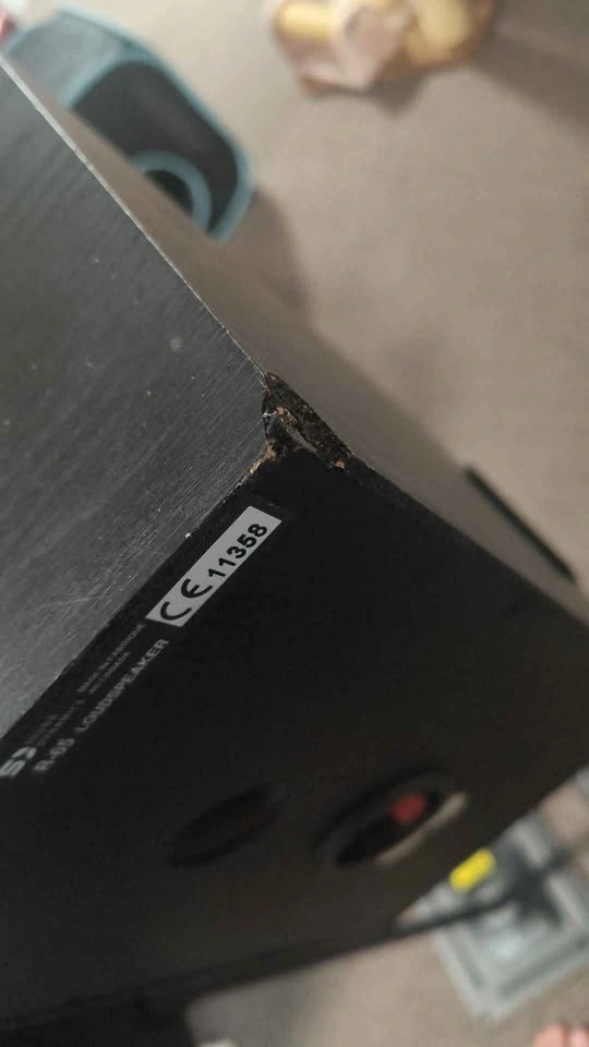 Pair of Sound Dynamics R-65 speakers with stands - photo 4