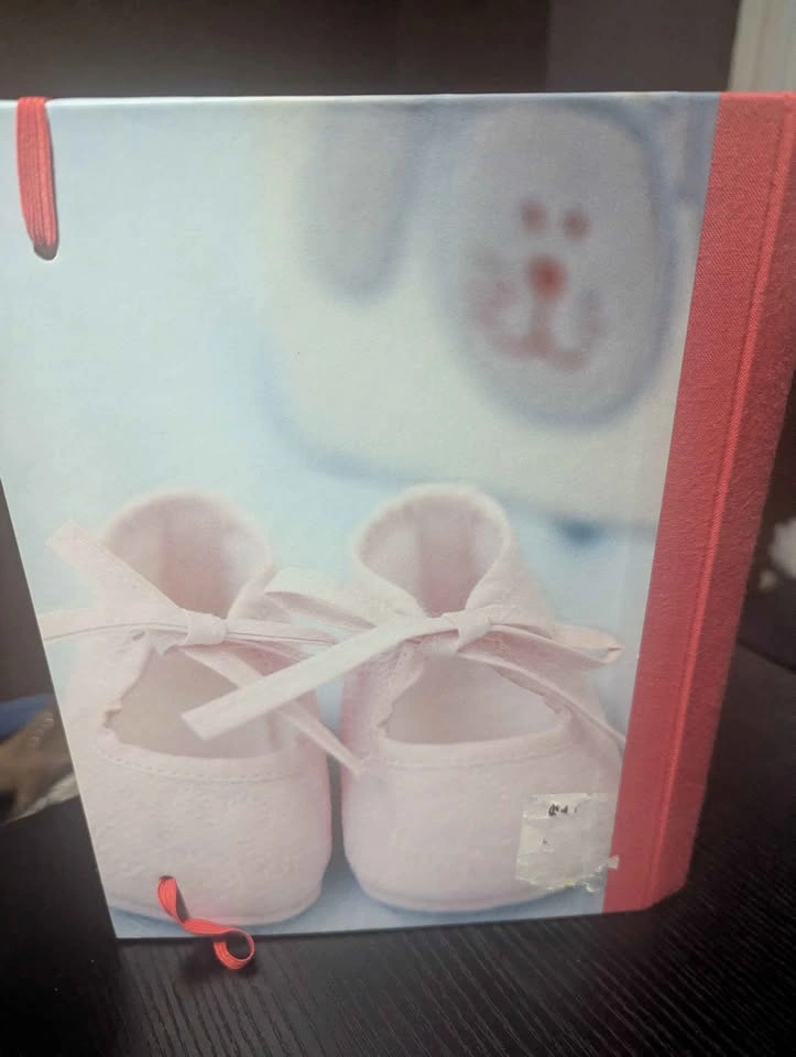 Baby's Journal – The Story of Baby's First Year (Hardcover) - photo 4
