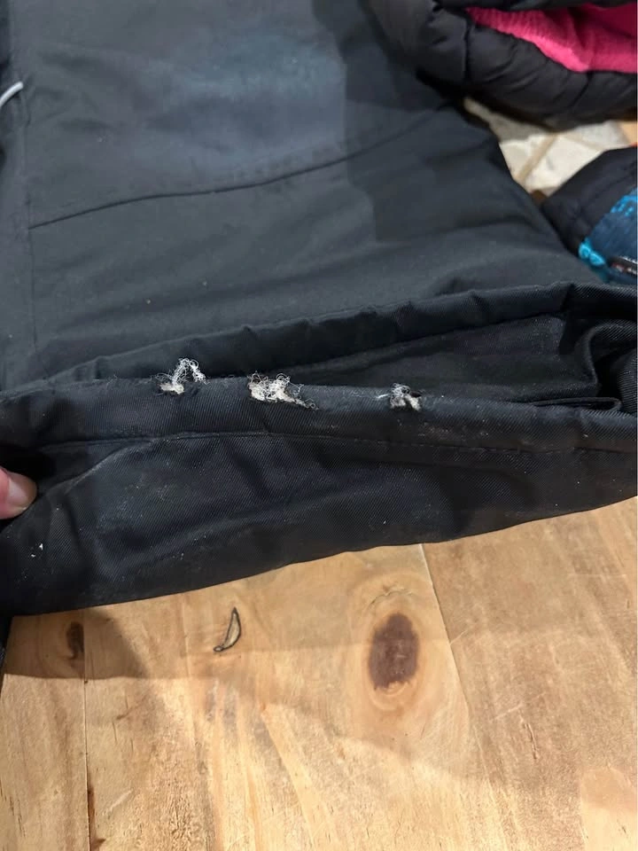 Girls Winter Jacket, Snowpants Size 8 & Gloves - photo 4