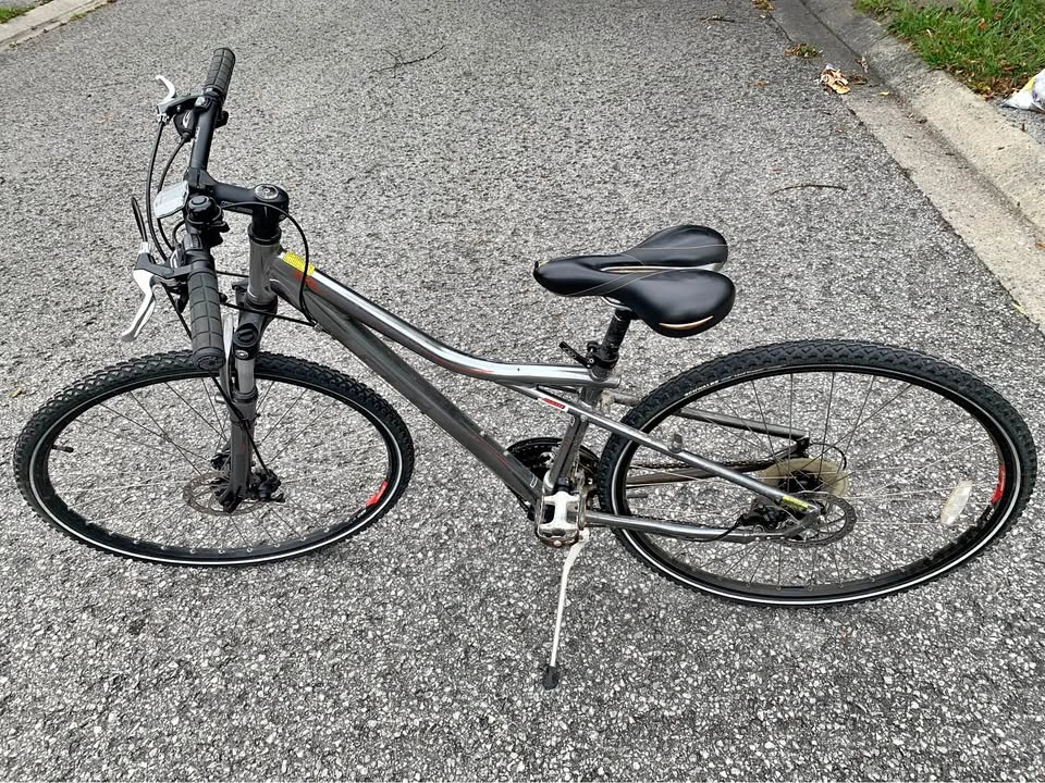 Transeo Land Cruiser bicycle