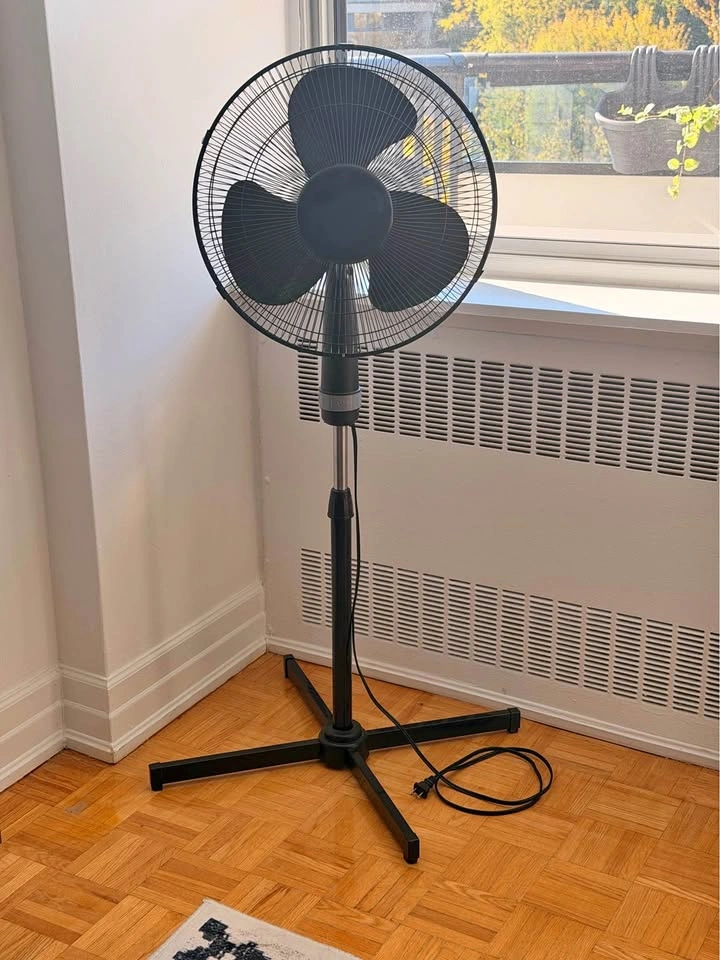 Pedestal Fan — Like New