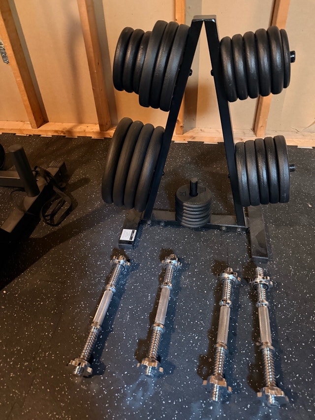 York iron plate set with weight tree and 4x dumbbells