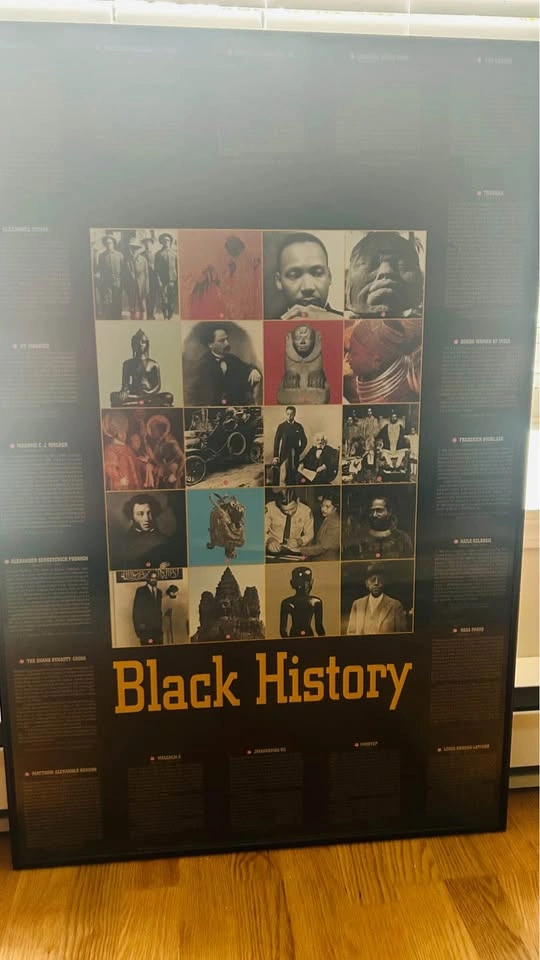 Framed Black History Educational Poster - photo 2