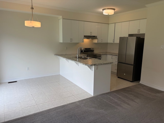 Brantford Town house  Available for Rent From Nov 1st, 2026 - photo 3