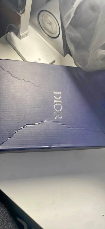 Dior B22 Sneakers