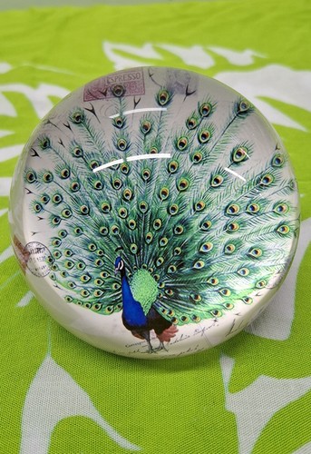 Peacock Design Glass Paperweight Multicolor 4x 2.5in