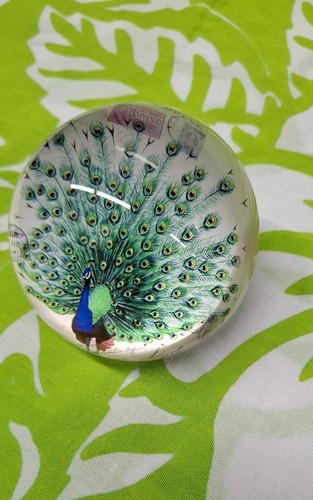 Peacock Design Glass Paperweight Multicolor 4x 2.5in - photo 2
