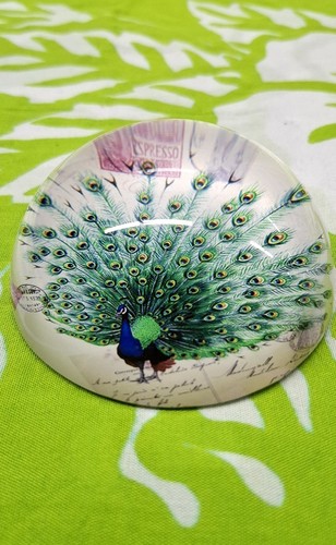 Peacock Design Glass Paperweight Multicolor 4x 2.5in - photo 3