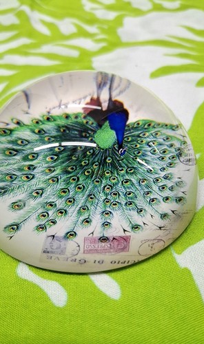Peacock Design Glass Paperweight Multicolor 4x 2.5in - photo 4